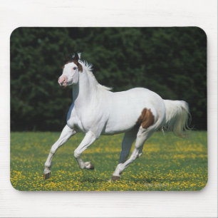 Mousepad Pinte o cavalo que funciona no campo gramíneo