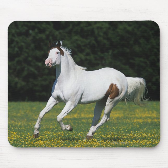 Mousepad Pinte o cavalo que funciona no campo gramíneo (Frente)