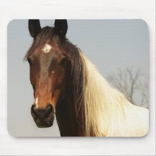 Mousepad Pinte o tapete do rato do cavalo