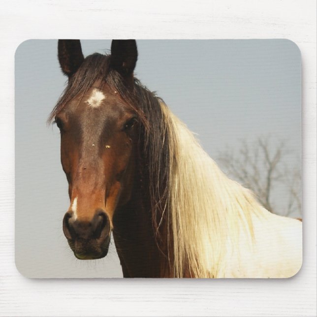Mousepad Pinte o tapete do rato do cavalo (Frente)