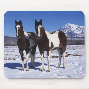 Mousepad Pinte os cavalos que estão na neve