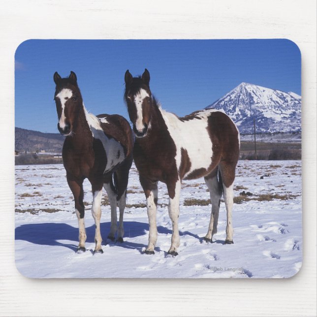 Mousepad Pinte os cavalos que estão na neve (Frente)