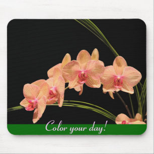 Mousepad Pinte seu dia!