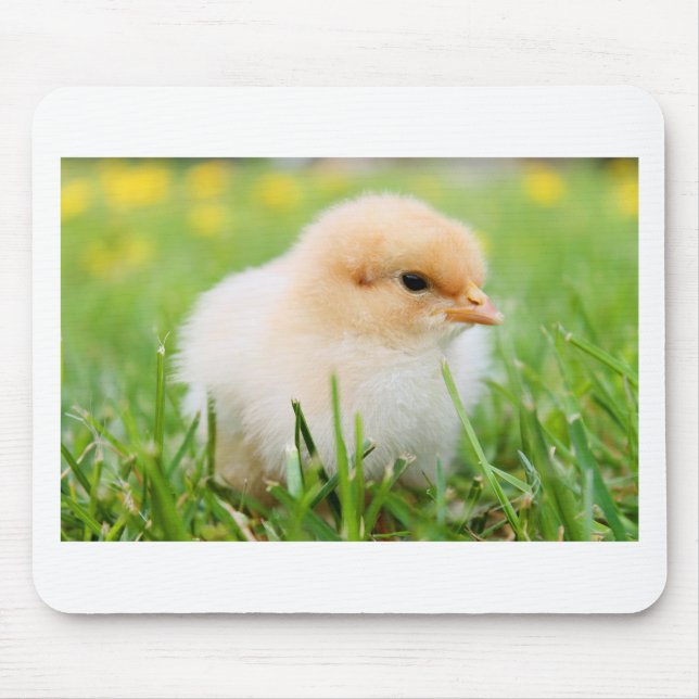 Mousepad Pintinho (Frente)