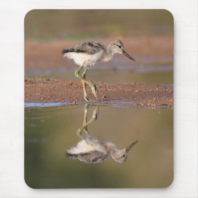 Mousepad Pintinho de prevenção (Frente)