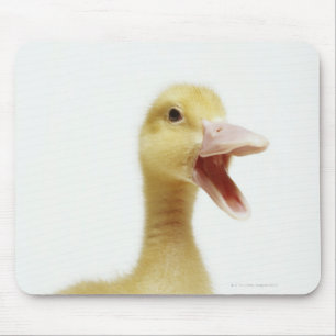Mousepad Pintinho do pato de Pekin, cabeça-tiro