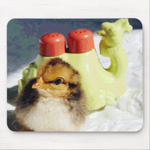 Mousepad Pintinho e Camel