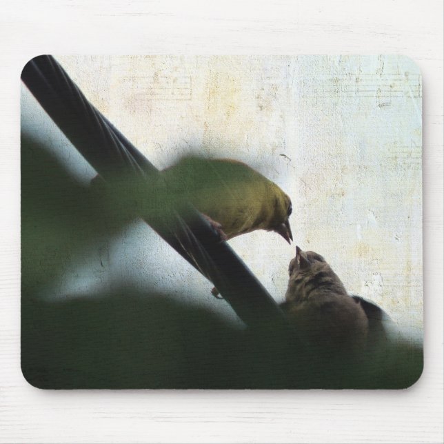 Mousepad Pintinho Goldfinch Feeds (Frente)