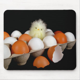 Mousepad Pintinho na embalagem de ovos