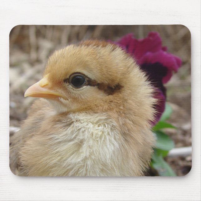 Mousepad Pintinho no Jardim Pansy (Frente)