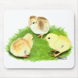 Mousepad Pintinhos Aseel Wheaten