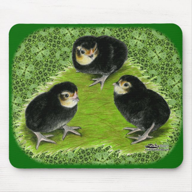 Mousepad Pintinhos Bantam no Jardim (Frente)