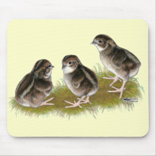 Mousepad Pintinhos das codorniz do Coturnix