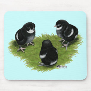Mousepad Pintinhos de cobre pretos de Marans