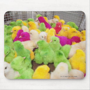 Mousepad Pintinhos do bebê em uma caneta em um mercado