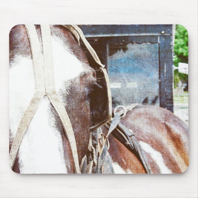Mousepad Pinto Amish Buggy Horse (Frente)