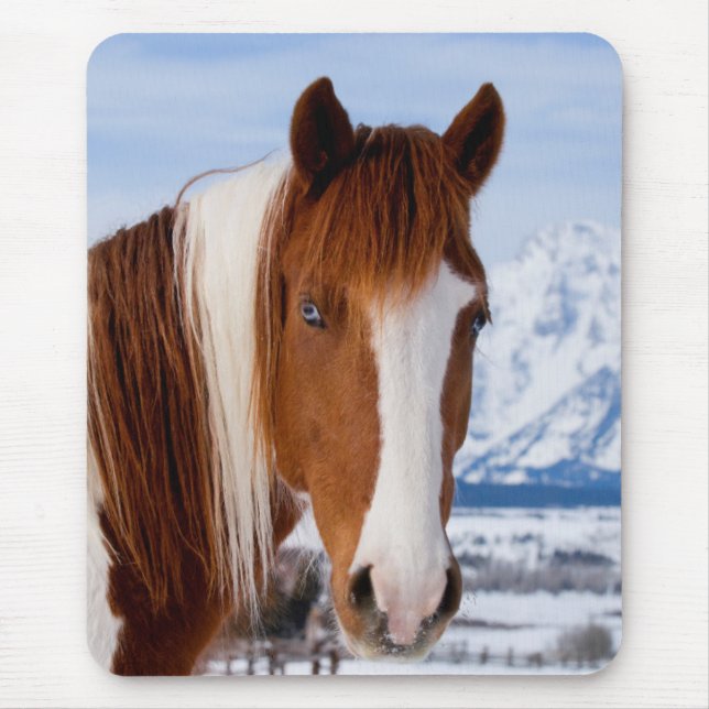 Mousepad Pinto Horse Monte Moran no inverno (Frente)