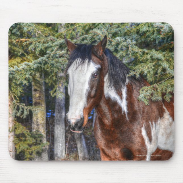 Mousepad Pinto Paint Stallion & Evergreen Trees (Frente)