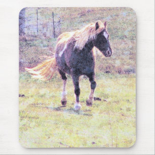 Mousepad Pinto Pony