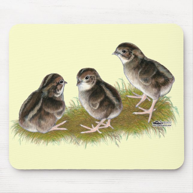 Mousepad Pintos de Codorniz Coturnix (Frente)