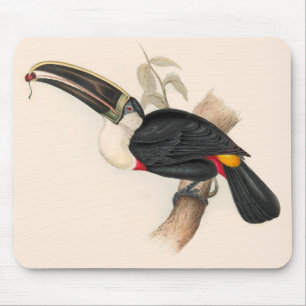 Mousepad Pintura Antiquada de Pássaros Toucanos