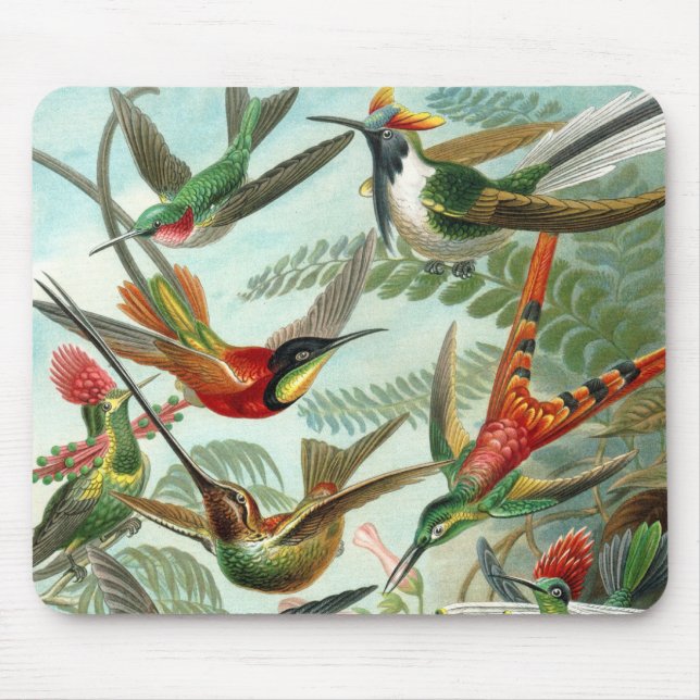 Mousepad pintura clássica da fauna selvagem de beija-flor (Frente)