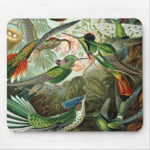 Mousepad pintura clássica da fauna selvagem de beija-flor