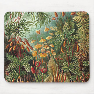 Mousepad Pintura de Haeckel Moss, Grass e Fungus Mushroom