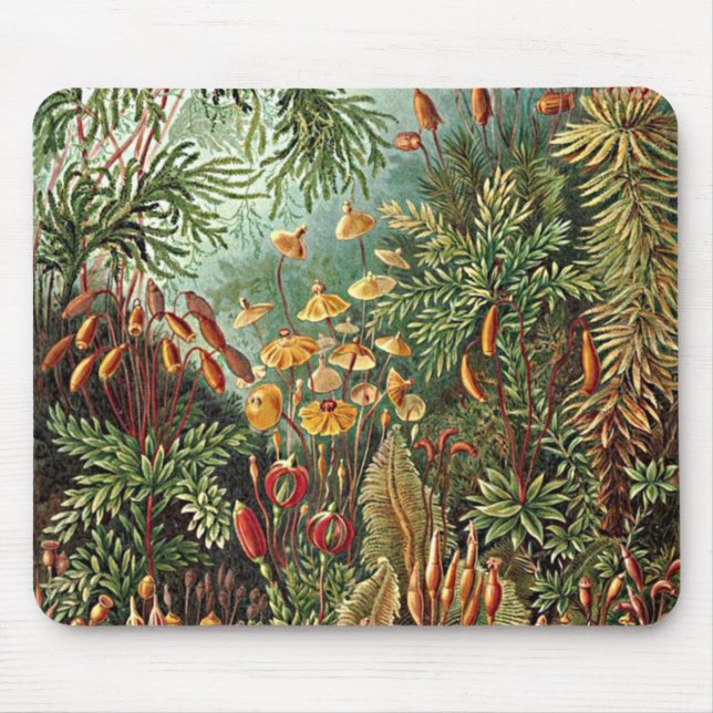 Mousepad Pintura de Haeckel Moss, Grass e Fungus Mushroom (Frente)