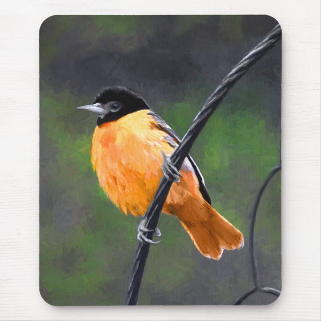 Mousepad Pintura de Oriole - Arte Original para Pássaros (Frente)