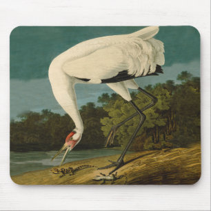 Mousepad Pintura de pássaros Audubon Crane Whoping