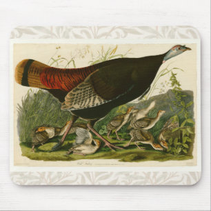 Mousepad Pintura de pássaros Selvagens de Audubon na Turqui
