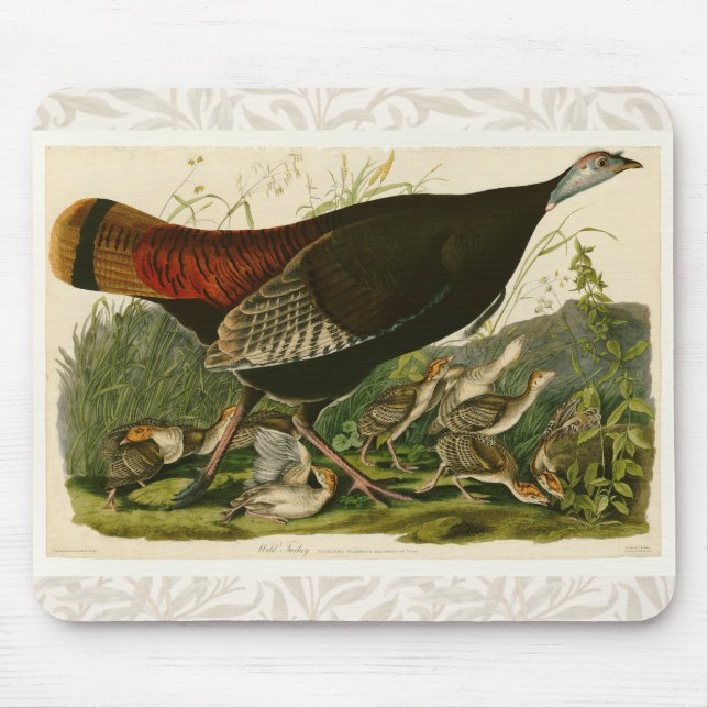 Mousepad Pintura de pássaros Selvagens de Audubon na Turqui (Frente)