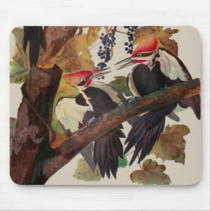 Mousepad Pintura de vida selvagem de aves do pica-pau-grand
