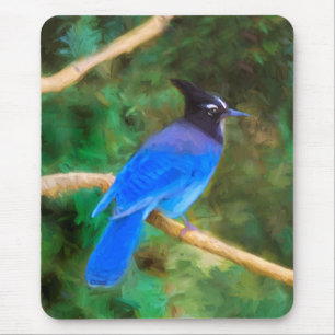 Mousepad Pintura em Jay de Steller - Arte original de páss