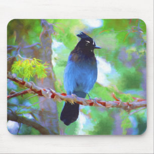 Mousepad Pintura em Jay de Steller - Arte original sobre pá