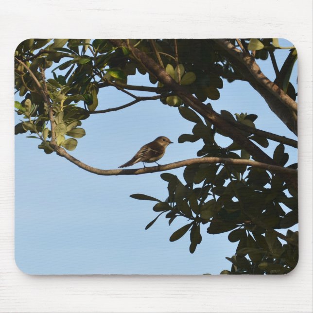 Mousepad Pirilampo-comum (Frente)