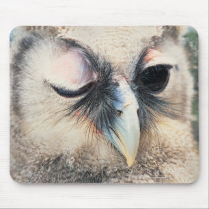 Mousepad Pisc a coruja