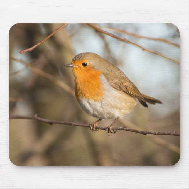 Mousepad Pisco de peito vermelho (Frente)