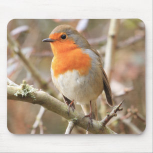 Mousepad Pisco de peito vermelho Chirpy