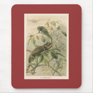 Mousepad PJ Smith - Camaleões