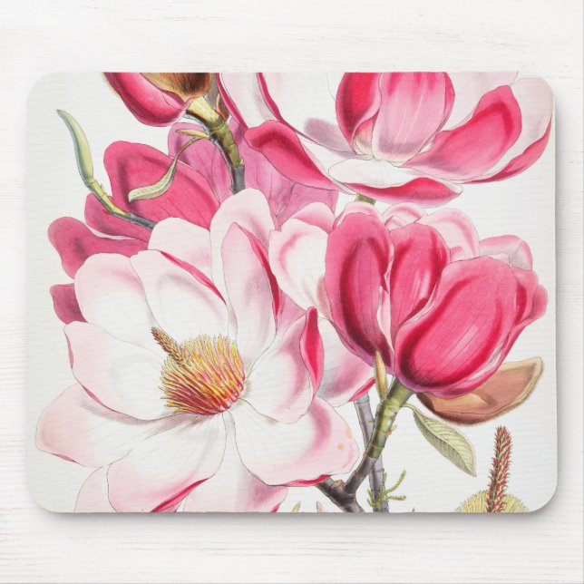 Mousepad Placa de Mouse Magnolia Rosa Brilhante (Frente)