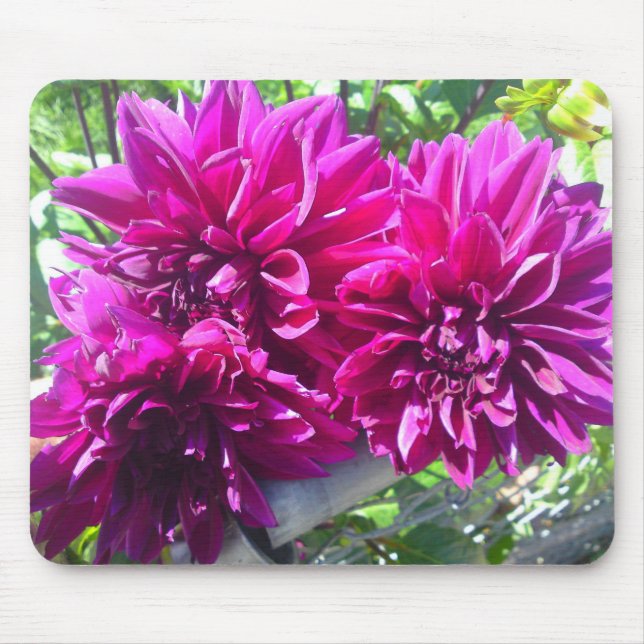 Mousepad Placa de Mouse Puro Dahlia Flor (Frente)