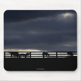 Mousepad Placa de Rato Cavalo