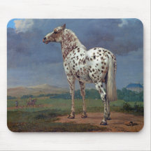 Placa de Rato de Cavalo Appaloosa com Traço