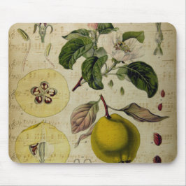 Mousepad Placa do mouse da placa Vintage