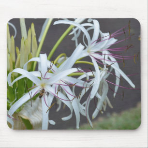 Mousepad Placa do mouse Floral Fragrance