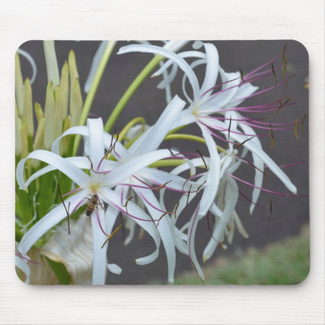 Mousepad Placa do mouse Floral Fragrance (Frente)