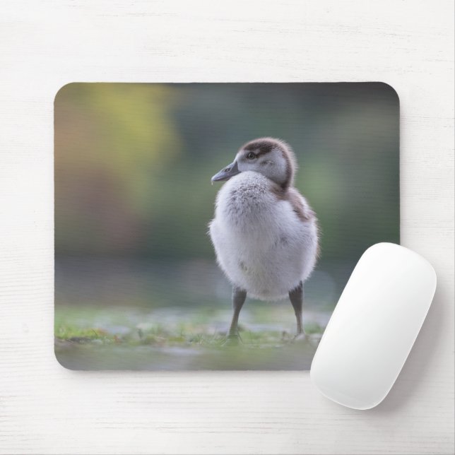 Mousepad Placa do mouse natural de foto do Pintinho de gans (Com mouse)
