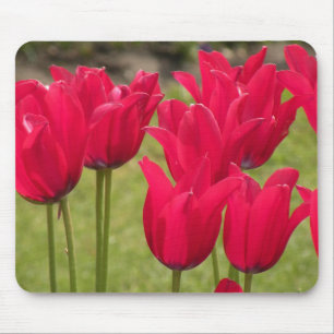 Mousepad Placa do mouse rosa escuro ou vermelho com tulipas